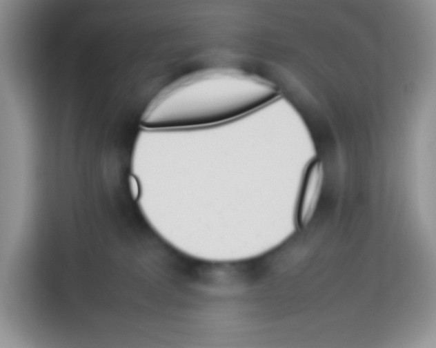 X0000113030229200910081226