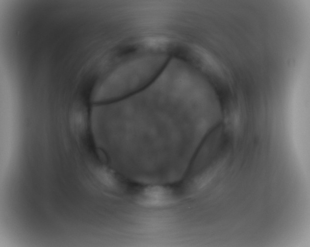X0000113030231200910081226
