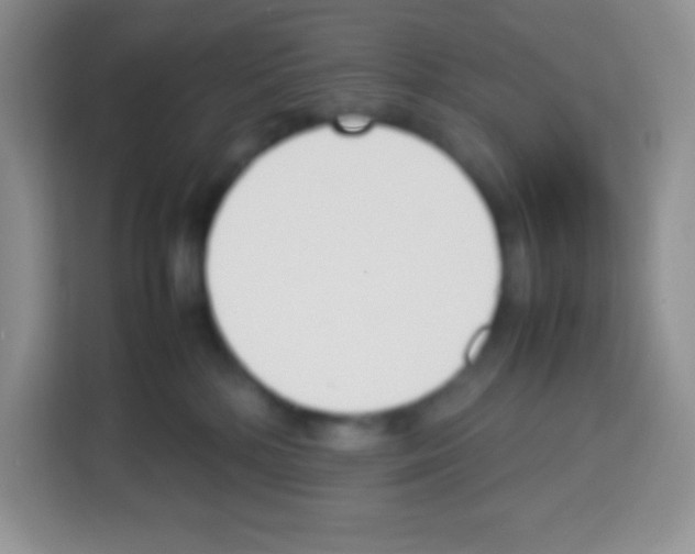 X0000113030232200910081226