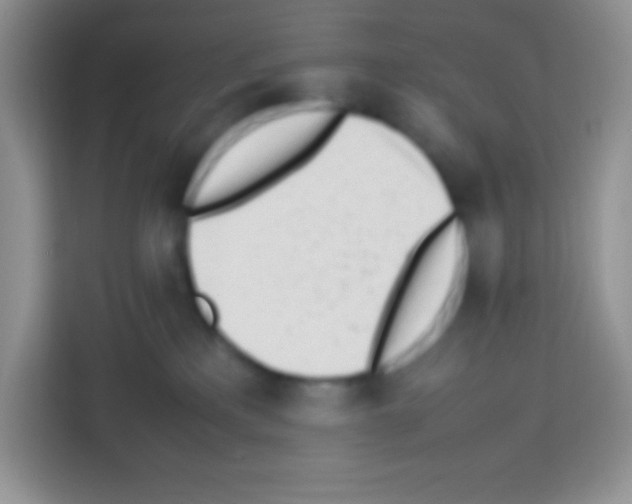X0000113030233200910081226