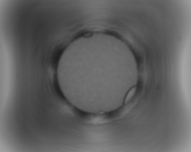 X0000113030235200910081226