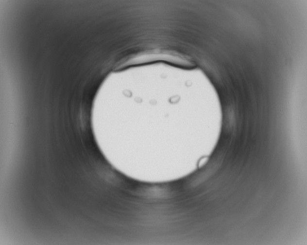 X0000113030236200910081226