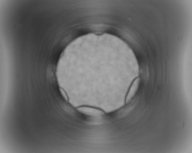 X0000113030237200910081226