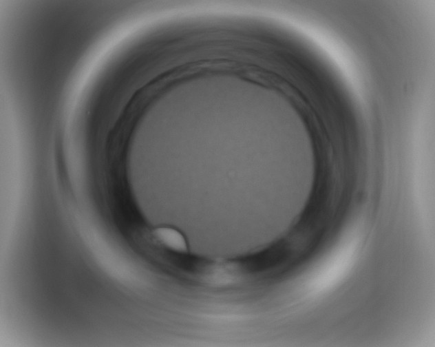 X0000113030239200910081226
