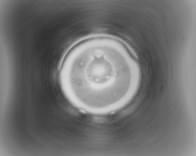 X0000113030240200910081226