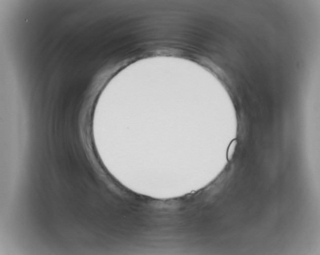X0000113030241200910081226
