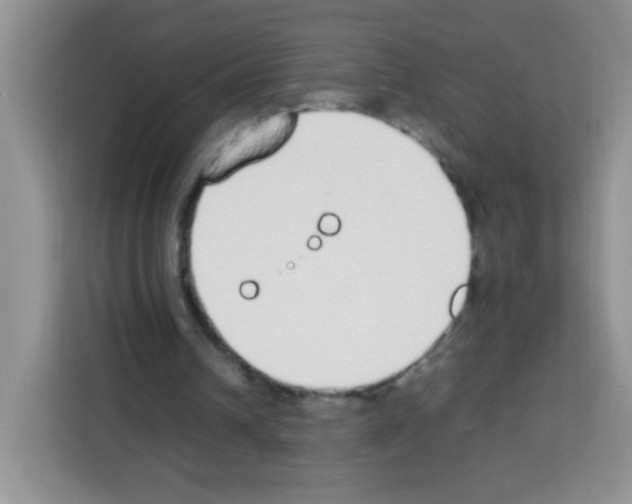 X0000113030242200910081226