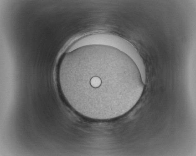 X0000113030244200910081226