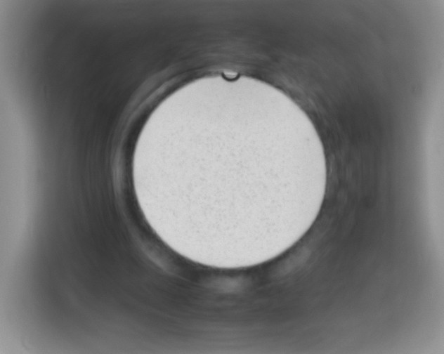 X0000113030247200910081226