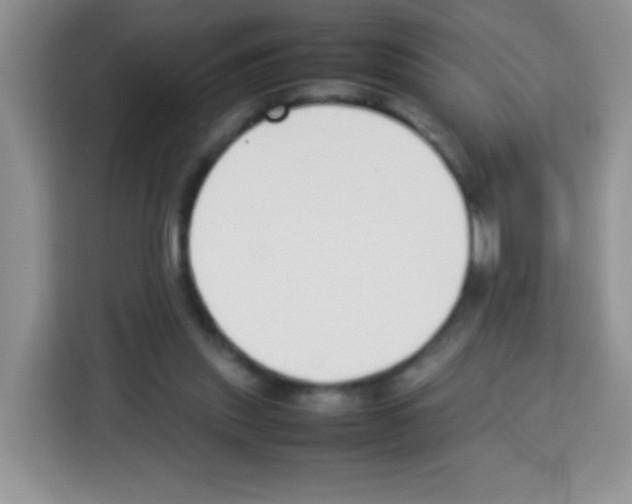 X0000113030253200910081226