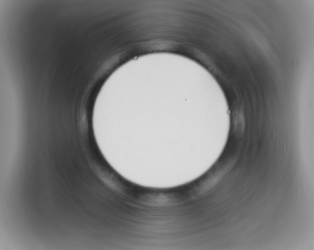 X0000113030254200910081226