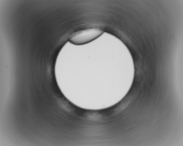 X0000113030258200910081226