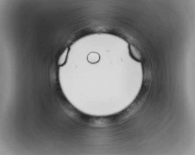 X0000113030268200910081226