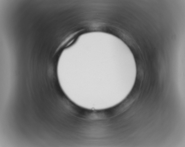 X0000113030270200910081226