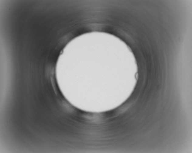 X0000113030288200910081226