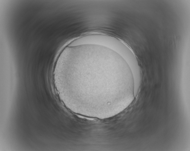 X0000113030289200910081226