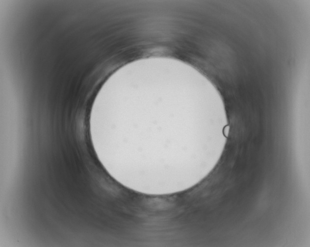 X0000113030290200910081226