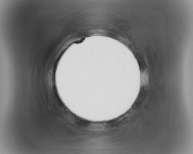 X0000113030291200910081226