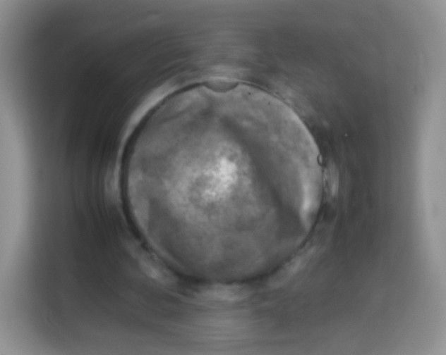 X0000113030292200910081226