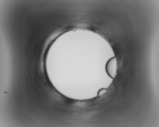 X0000113030294200910081225