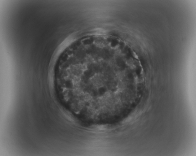 X0000113030295200910081225