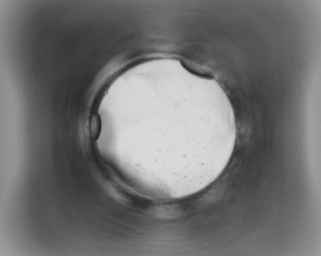 X0000113030296200910081225