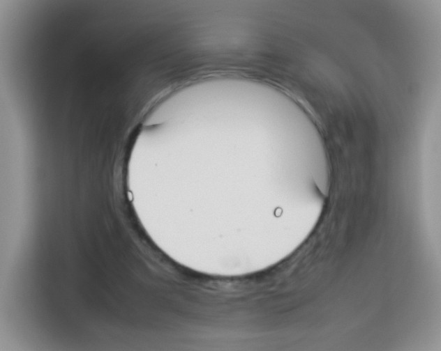 X0000113030297200910081225
