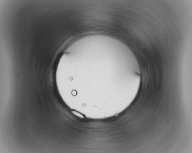 X0000113030300200910081225
