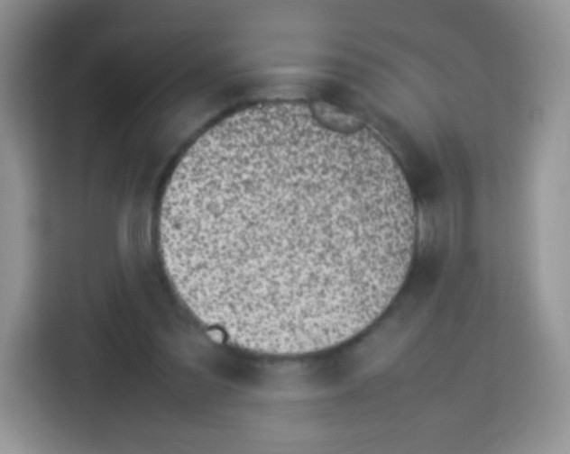 X0000113030301200910081225