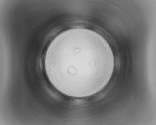 X0000113030302200910081225