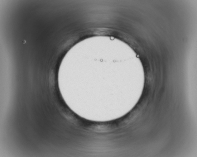 X0000113030303200910081225