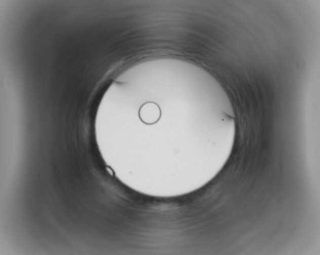 X0000113030304200910081225