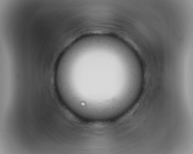 X0000113030305200910081225