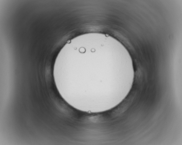 X0000113030306200910081225