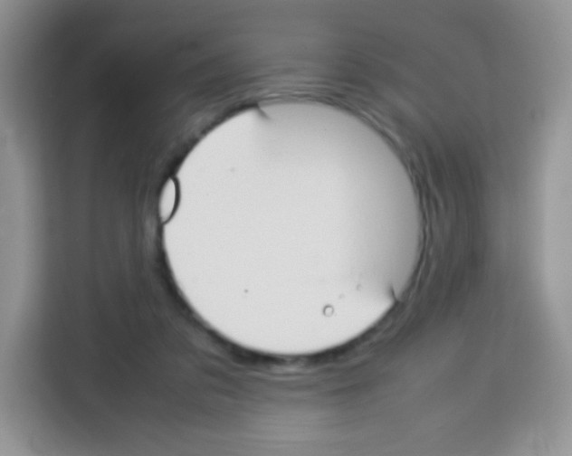 X0000113030309200910081225