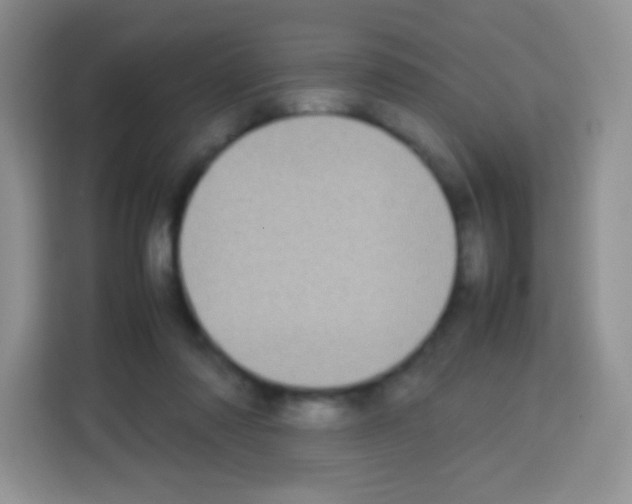 X0000113030310200910081225
