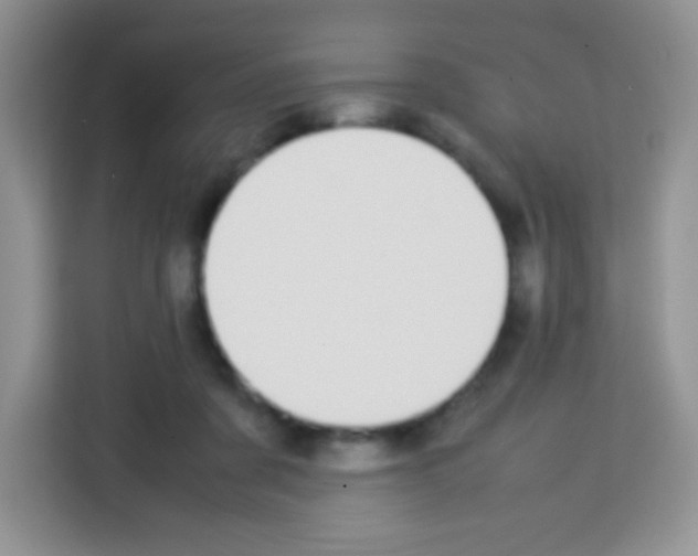 X0000113030311200910081225
