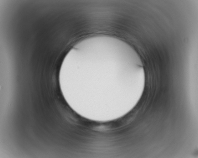 X0000113030312200910081225