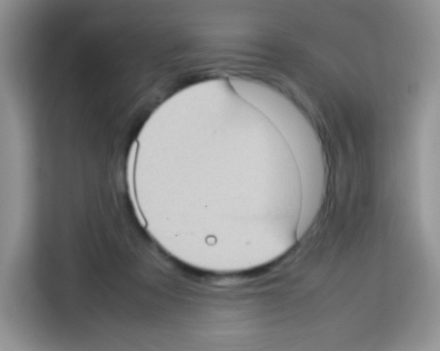 X0000113030313200910081225