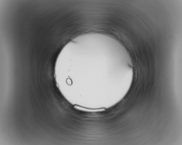 X0000113030316200910081225