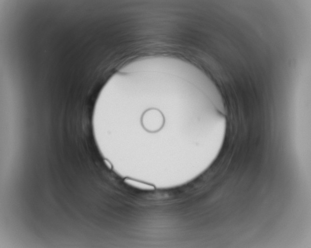 X0000113030320200910081225