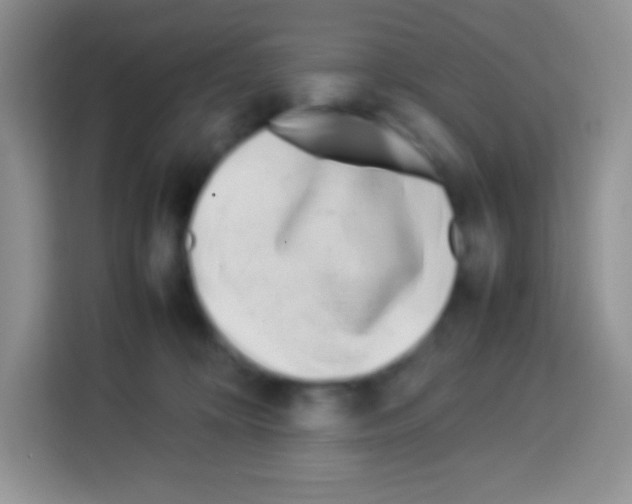 X0000113030324200910081225