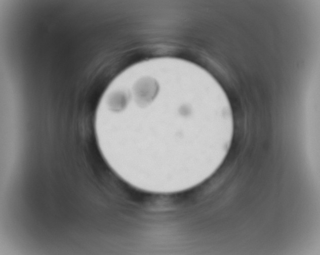 X0000113030325200910081225