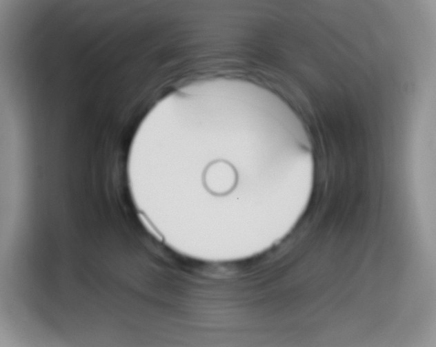 X0000113030328200910081225