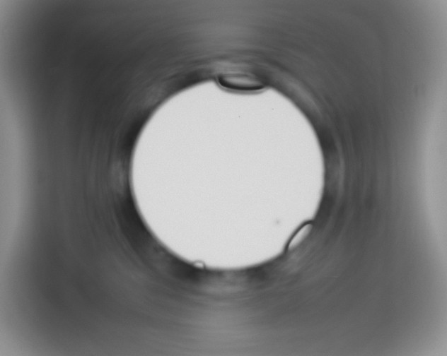 X0000113030329200910081225