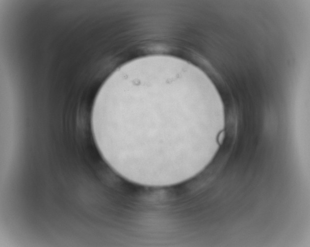 X0000113030330200910081225