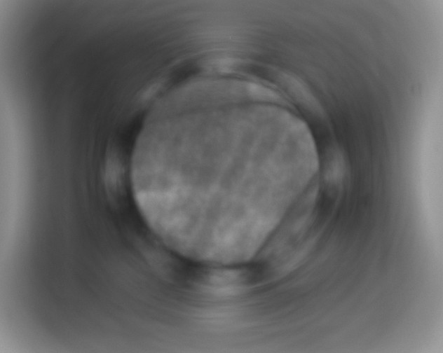 X0000113030332200910081225