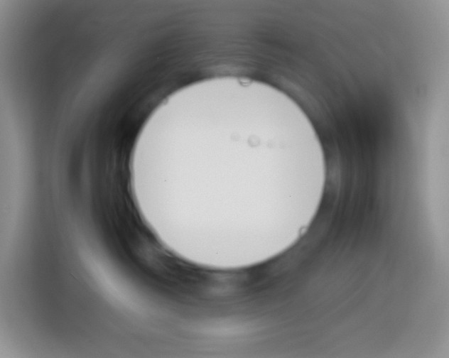 X0000113030334200910081225