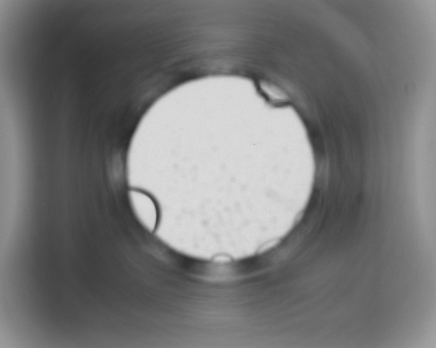 X0000113030335200910081225