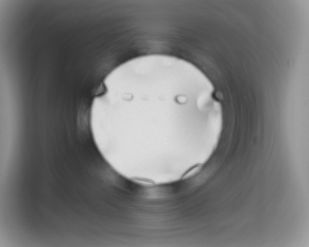 X0000113030336200910081225